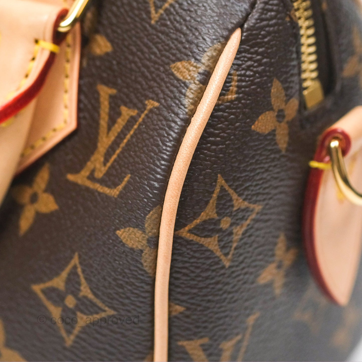 Louis Vuitton Speedy Bandoulière 20 Monogram