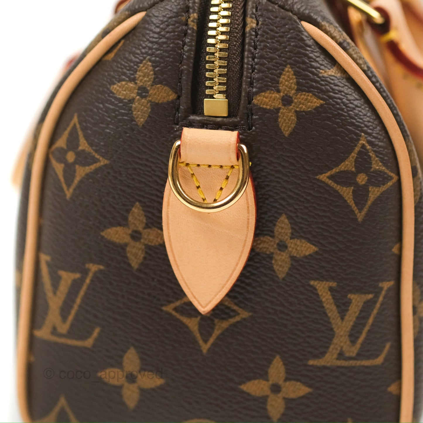 Louis Vuitton Speedy Bandoulière 20 Monogram
