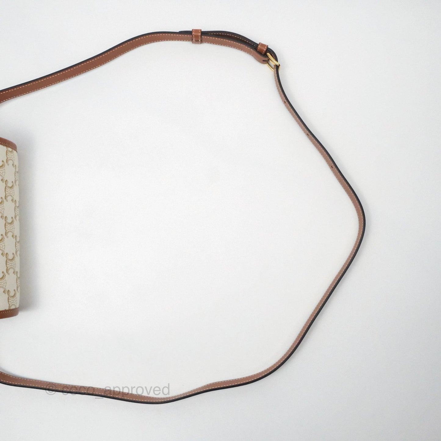 Celine Medium Folco Bag Triomphe Canvas White