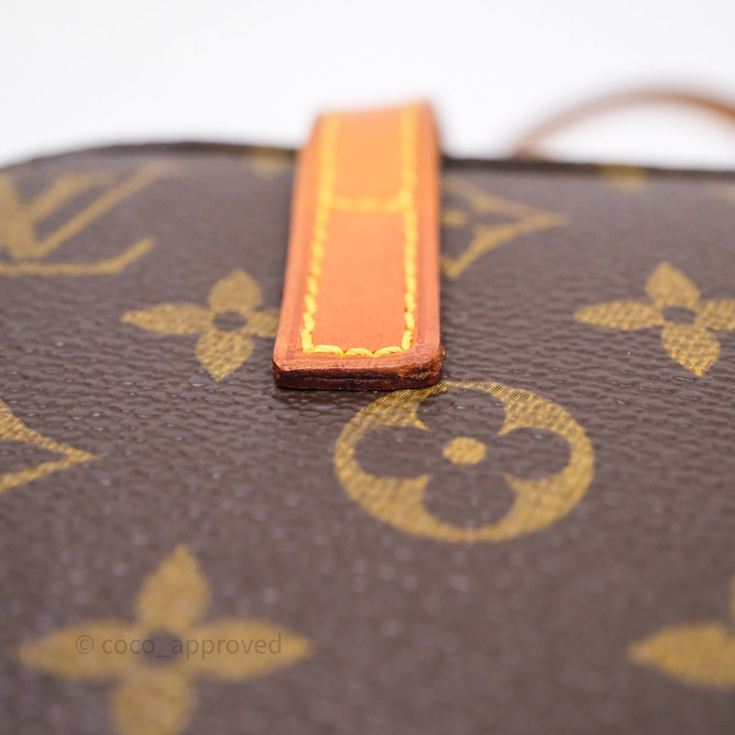 Louis Vuitton Monogram Spontini 2way Bag