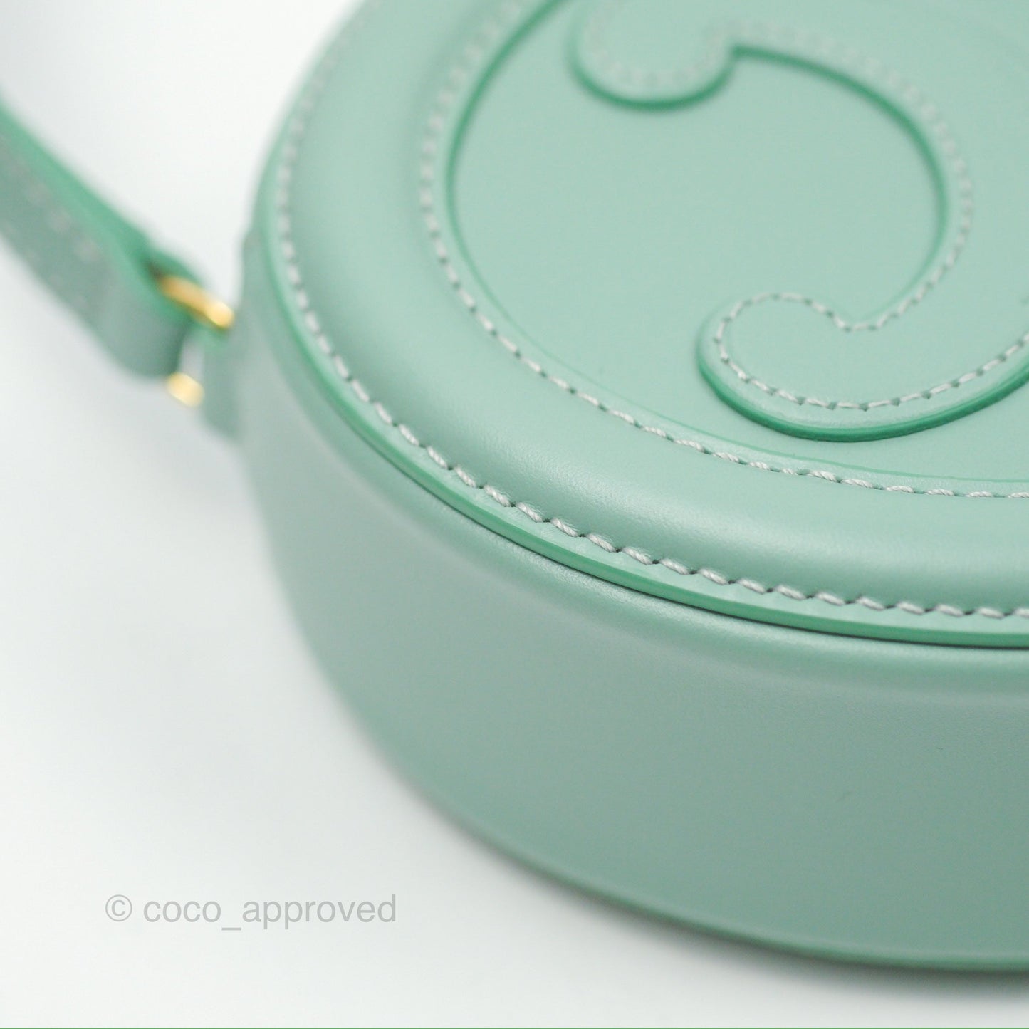 Celine Oval Bag Cuir Triomphe Ice Mint Calfskin