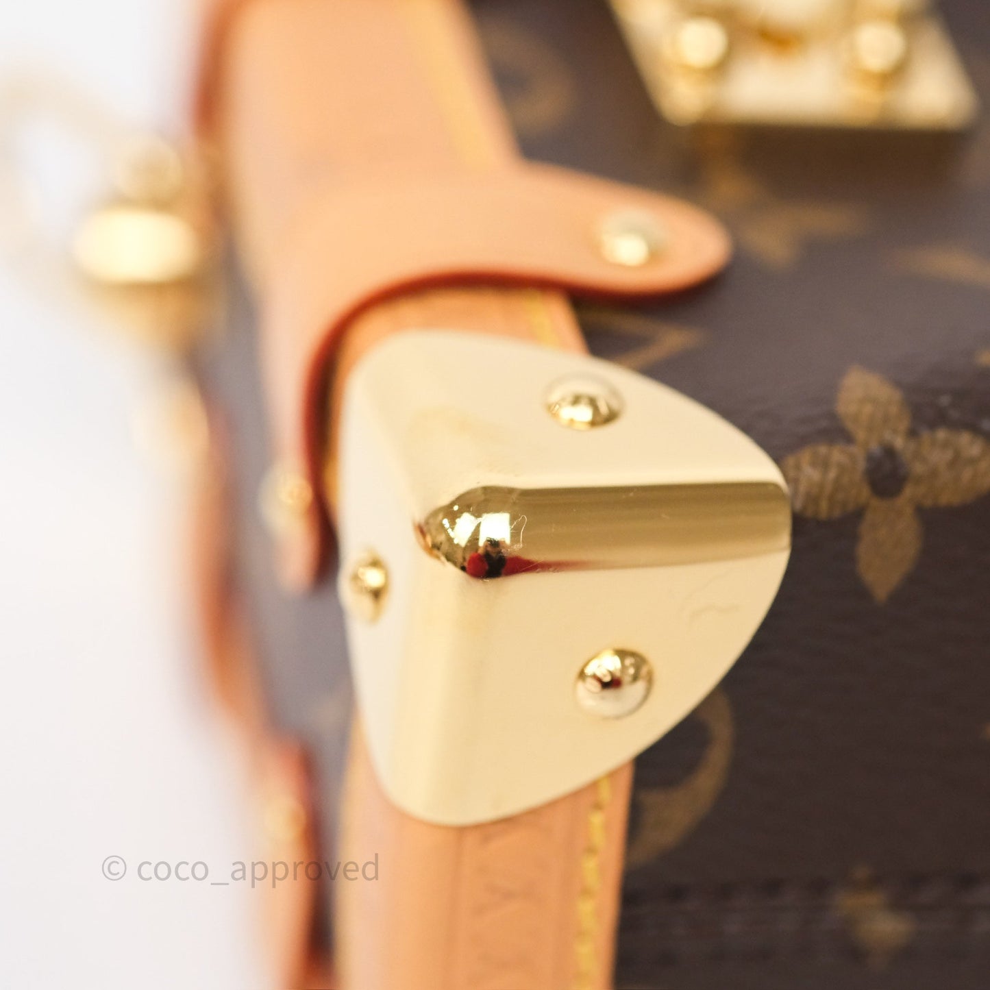 Louis Vuitton Side Trunk PM Monogram Canvas