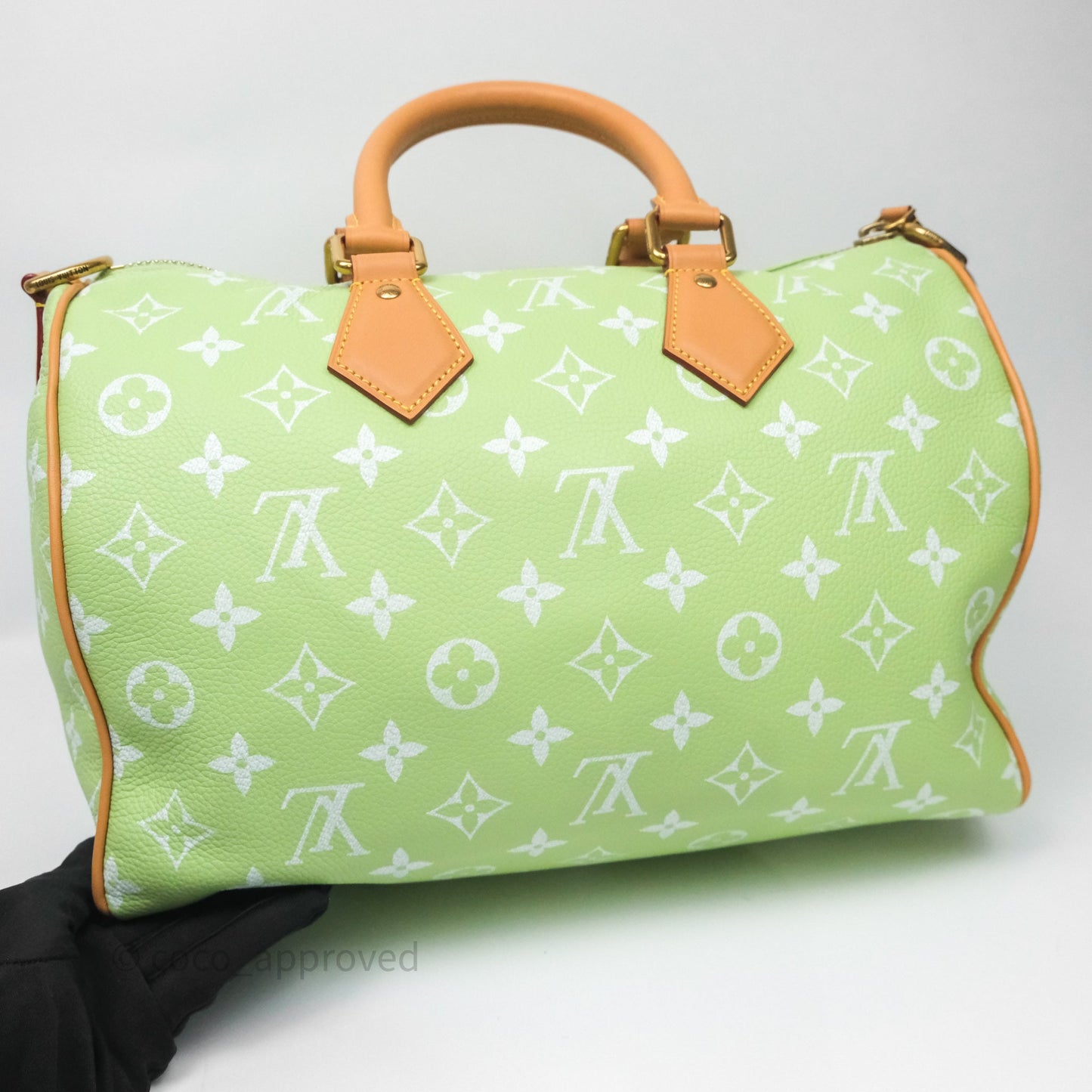 Louis Vuitton Speedy P9 Bandouliere 30 Vert Clair Bag