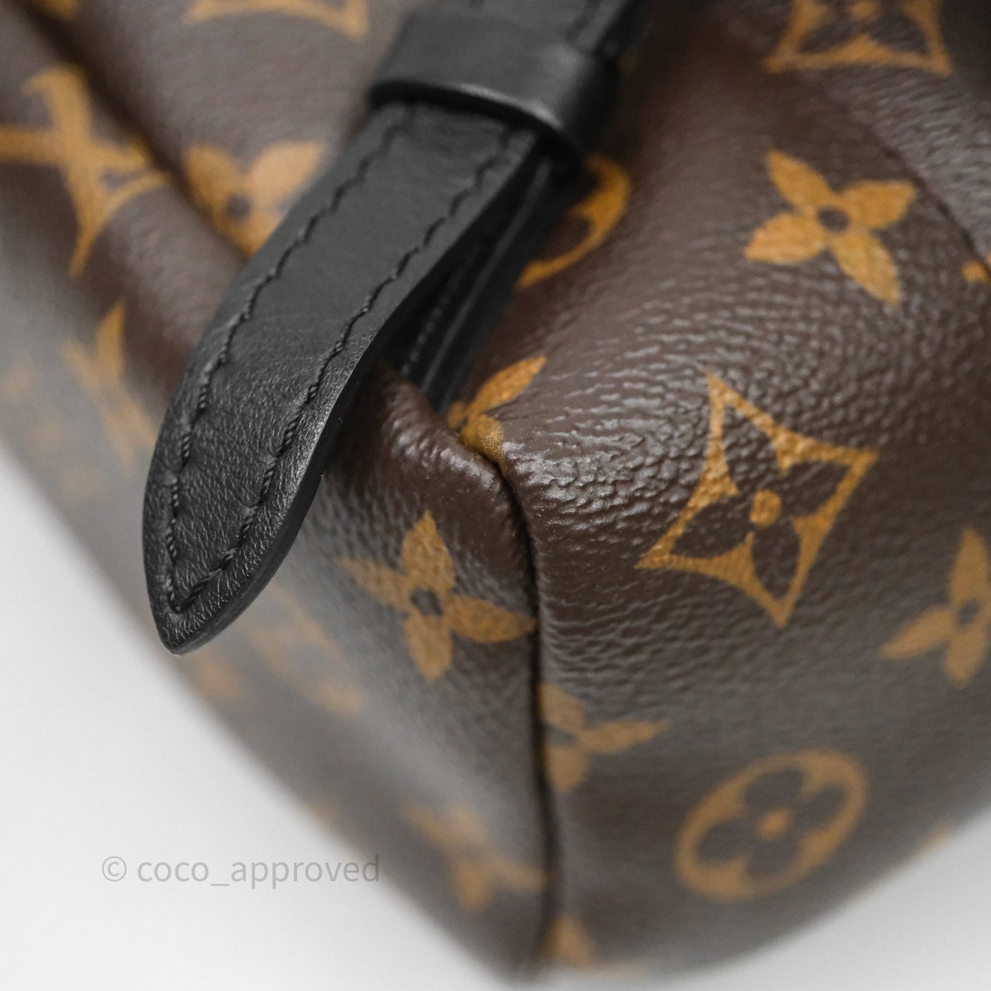Louis Vuitton Palm Springs Backpack⁣ Monogram PM