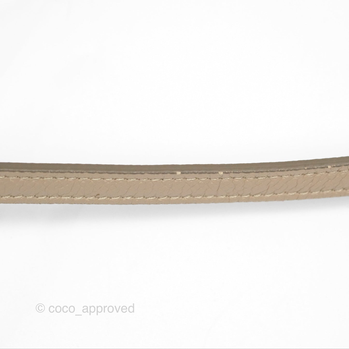 Celine Nano Belt Bag Light Taupe Grained Calfskin Gold Hardware