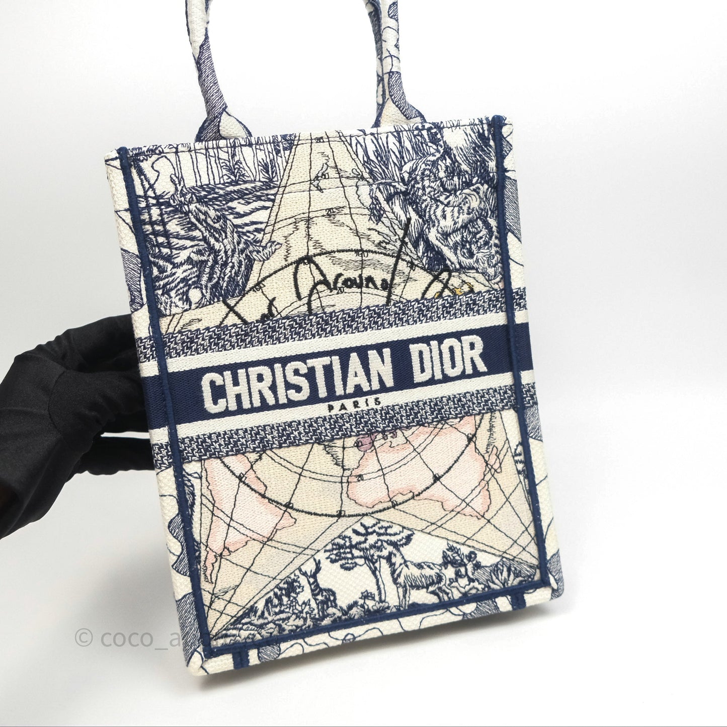 Dior Around The World Vertical Book Tote Blue White
