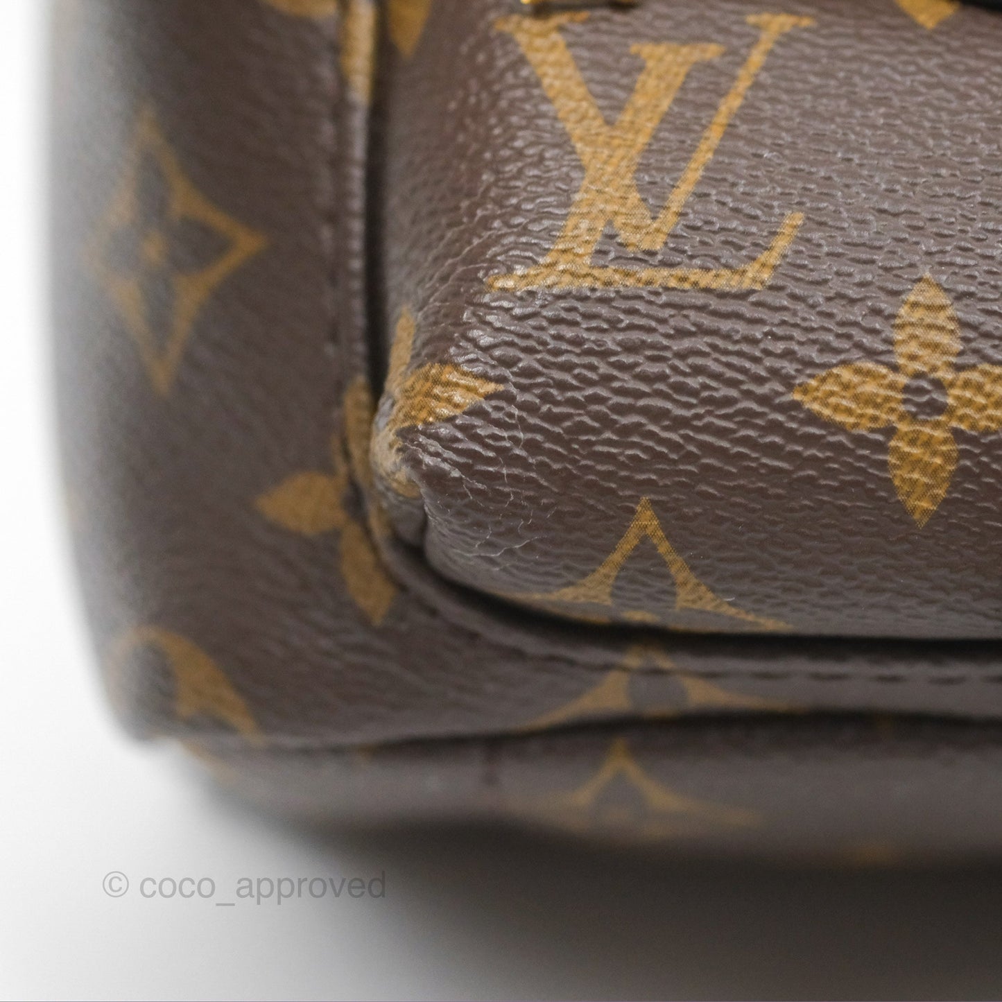 Louis Vuitton Mini Palm Springs Backpack⁣ Monogram
