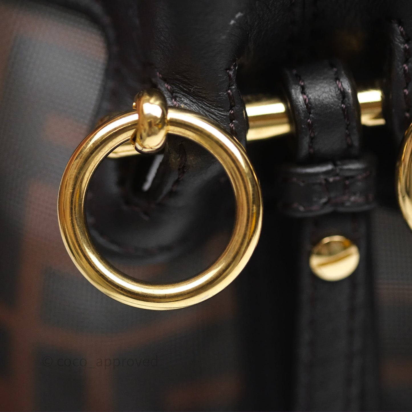 Fendi Mini Mon Tresor Bucket Bag Zucca See Through Mesh Brown/Black/Ebony