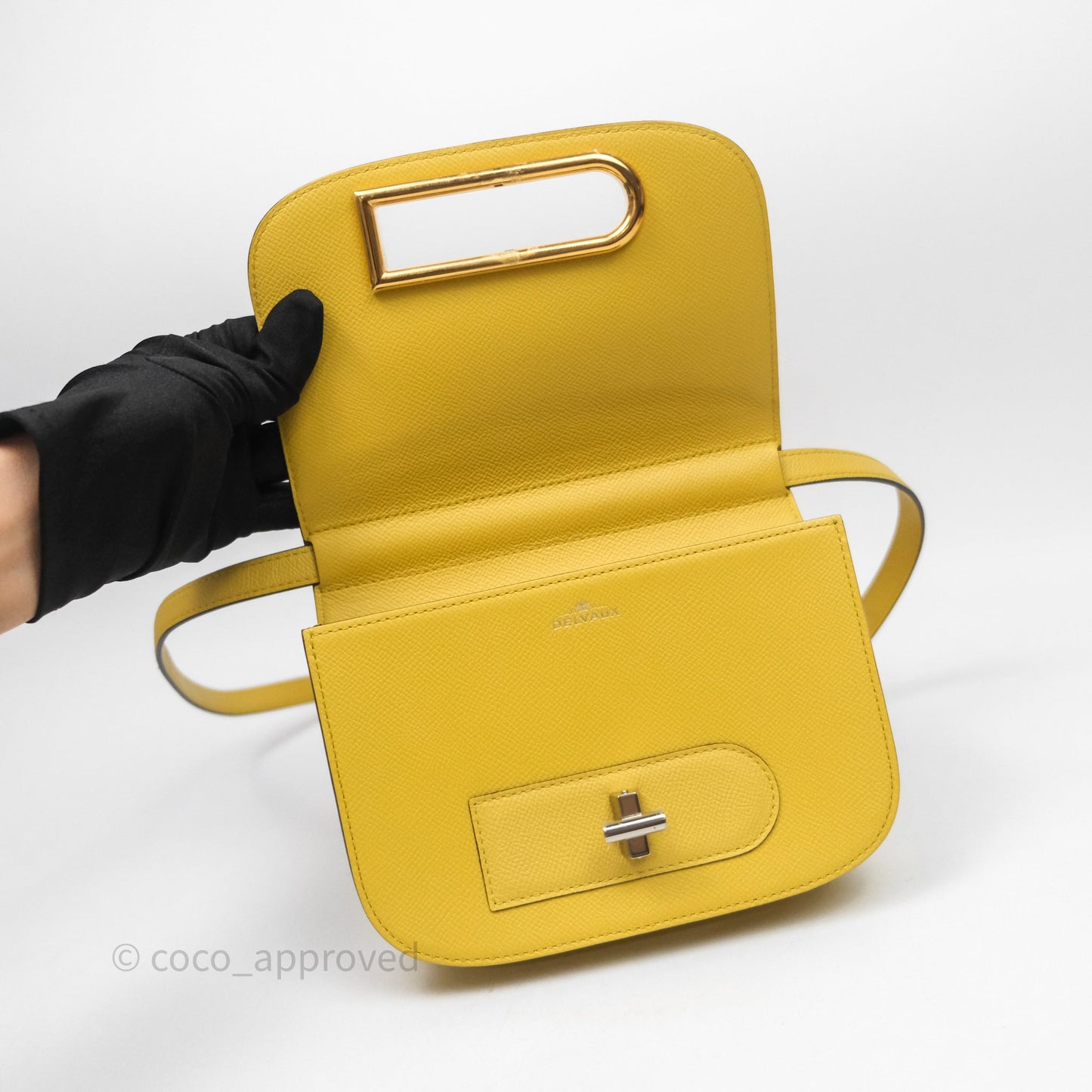 Delvaux Small Lingot Bag Pollen Alpina Calfskin Gold Hardware