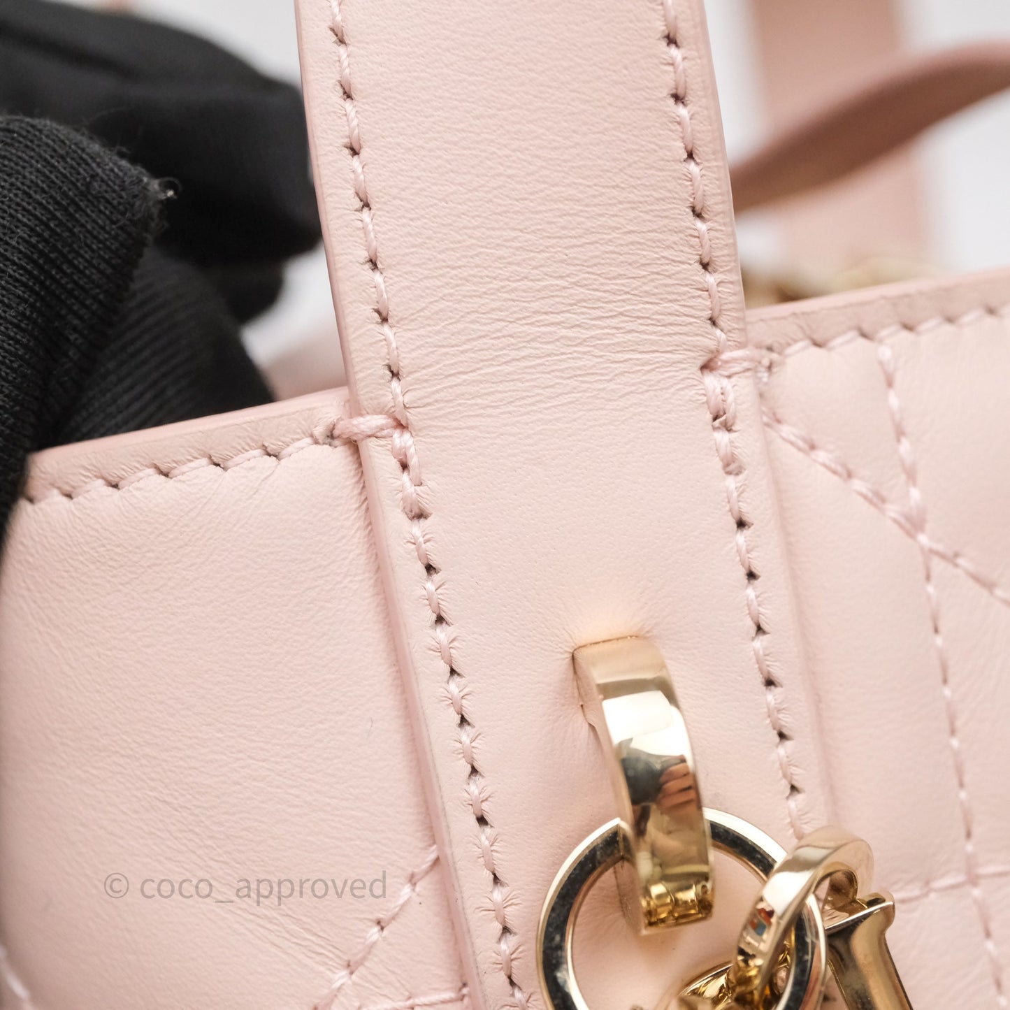 Christian Dior Toujours Vertical Nano Tote Bag Pink