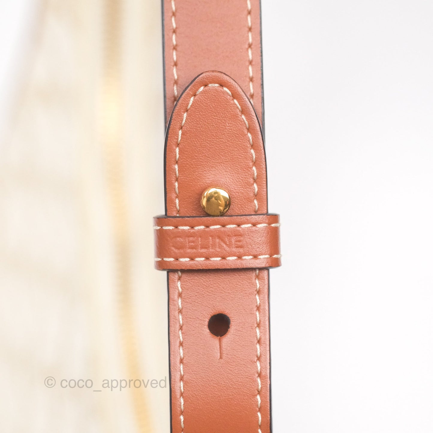 Celine Ava Bag In Triomphe Canvas Calfskin White