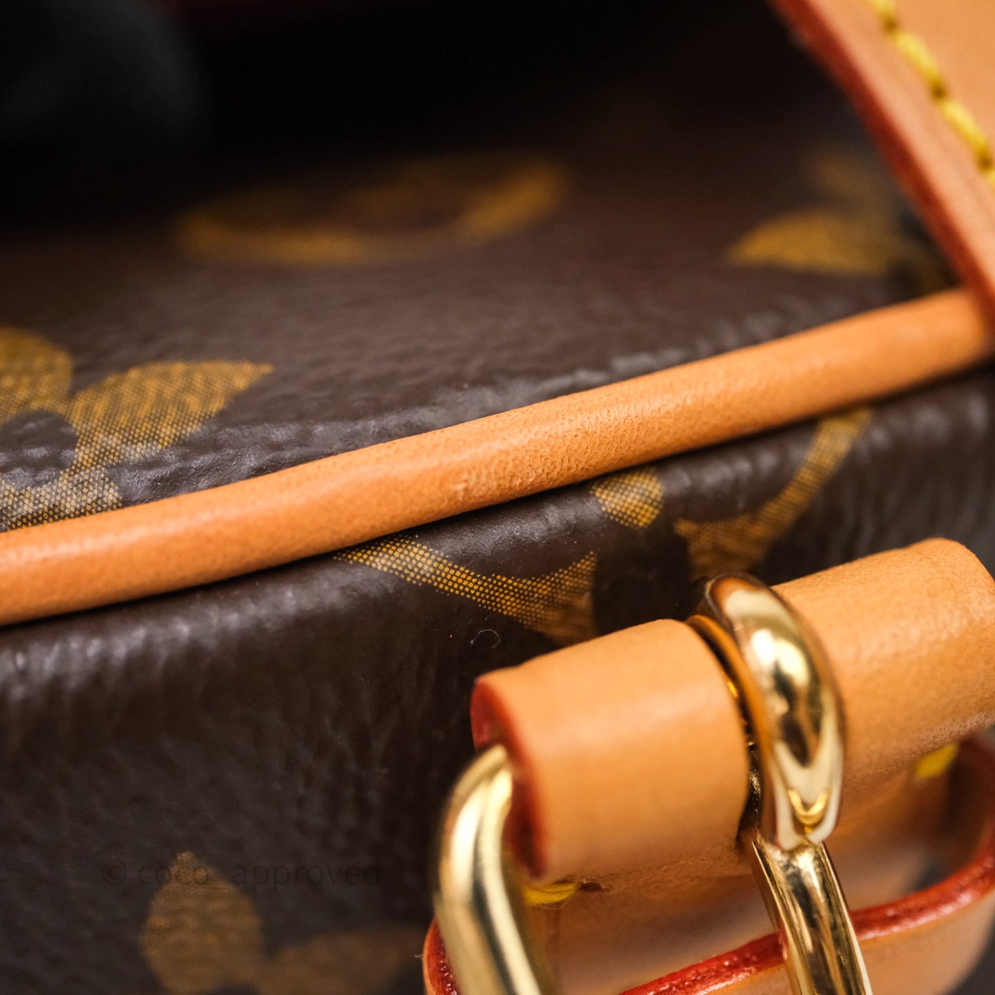 Louis Vuitton Tambourin Monogram Canvas Bag