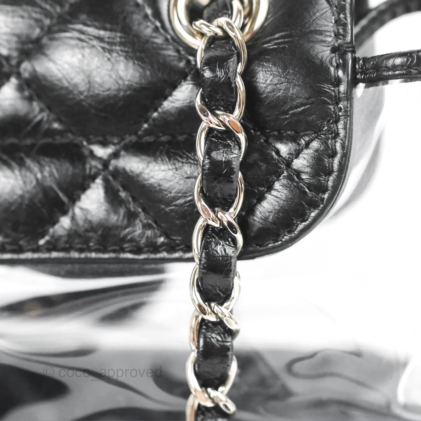 Chanel Aquarium PVC Backpack Black Crumpled Calfskin Silver Hardware