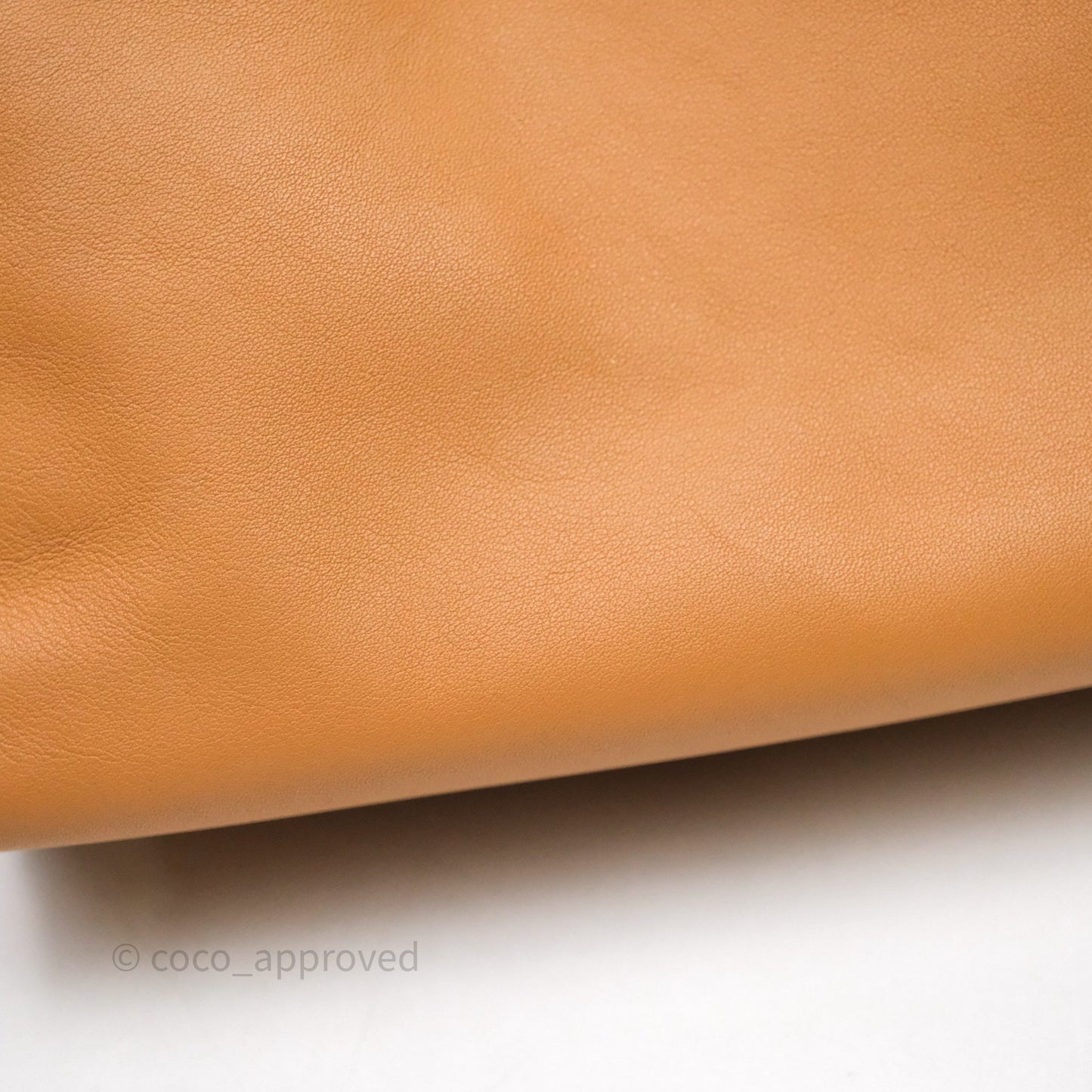 Loewe Flamenco Clutch Mini Bag Gold