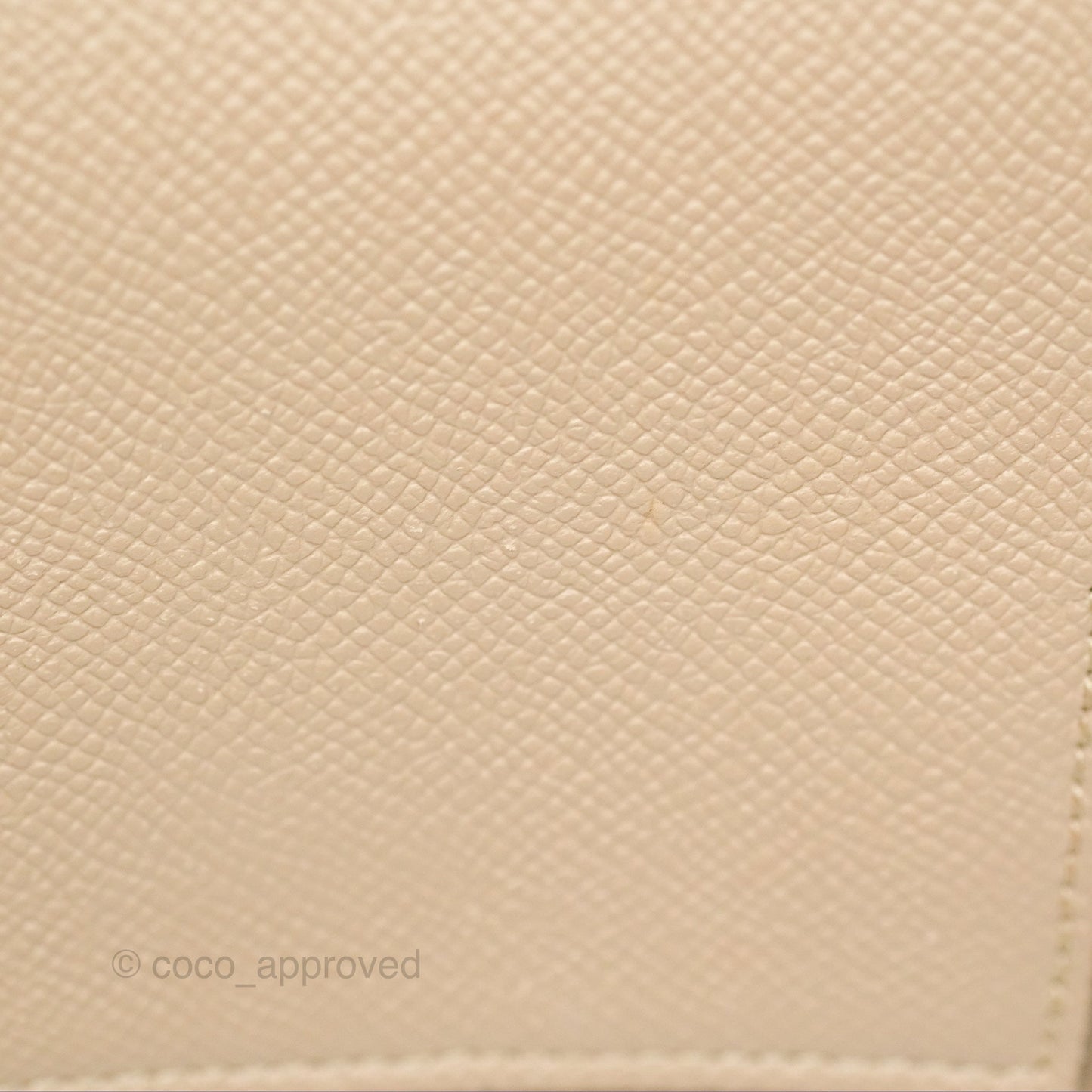 Celine Nano Belt Bag Light Taupe Grained Calfskin Gold Hardware