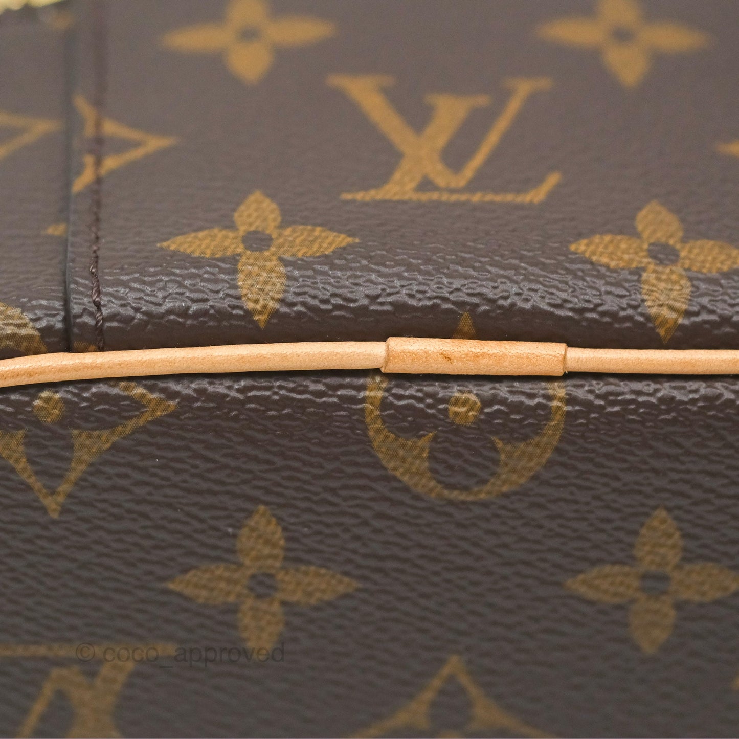 Louis Vuitton Nano Nice Monogram