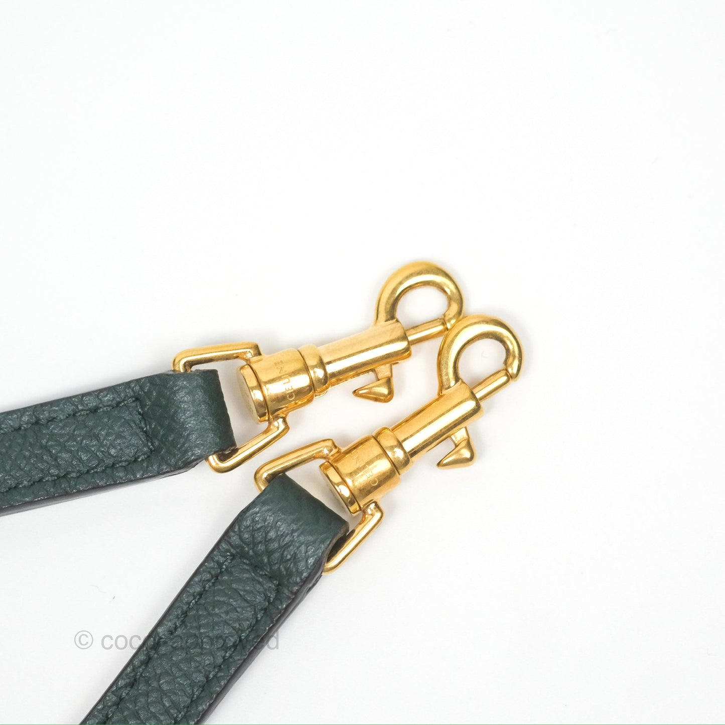 Celine Nano Belt Bag Amazone Grained Calfskin Gold Hardware