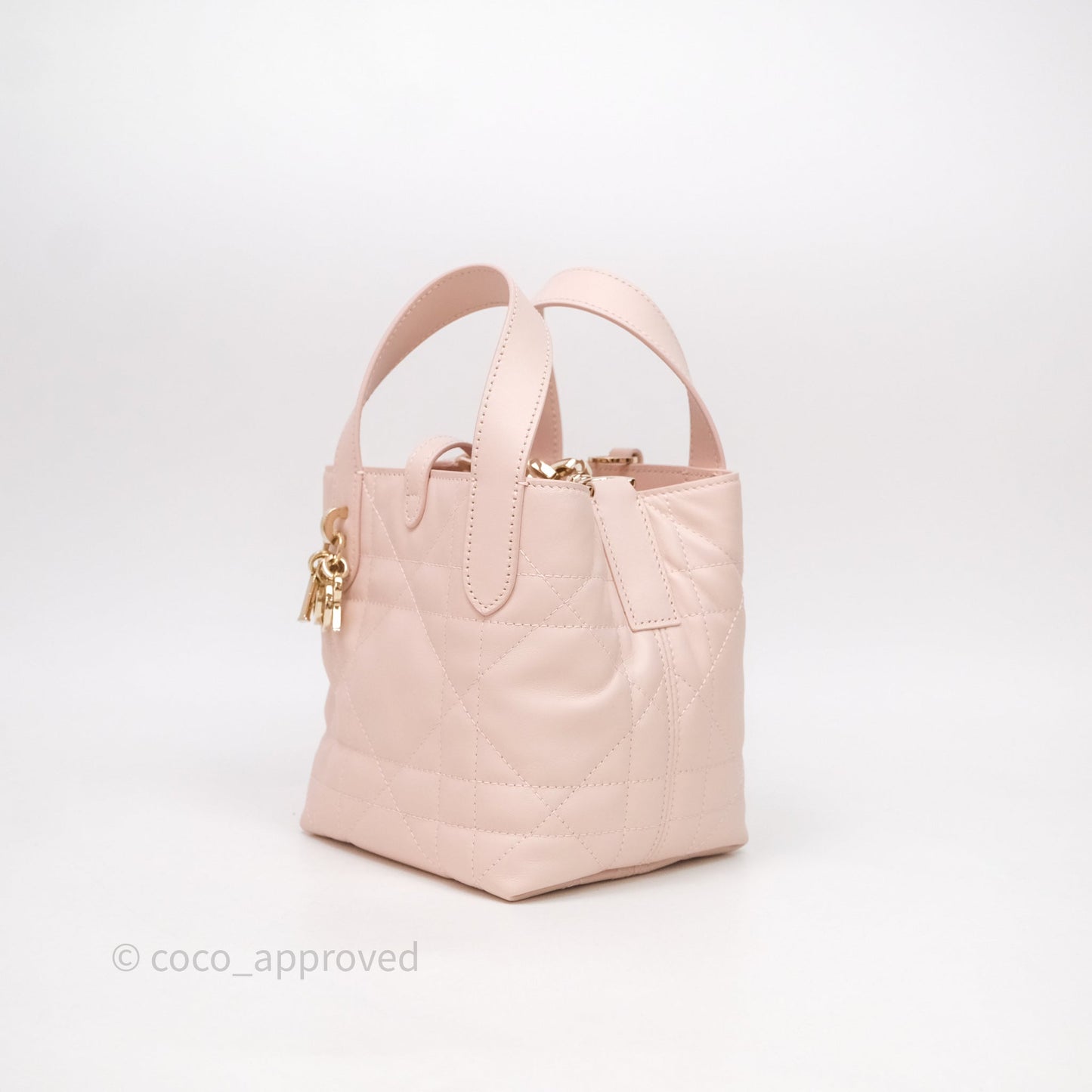 Christian Dior Toujours Vertical Nano Tote Bag Pink