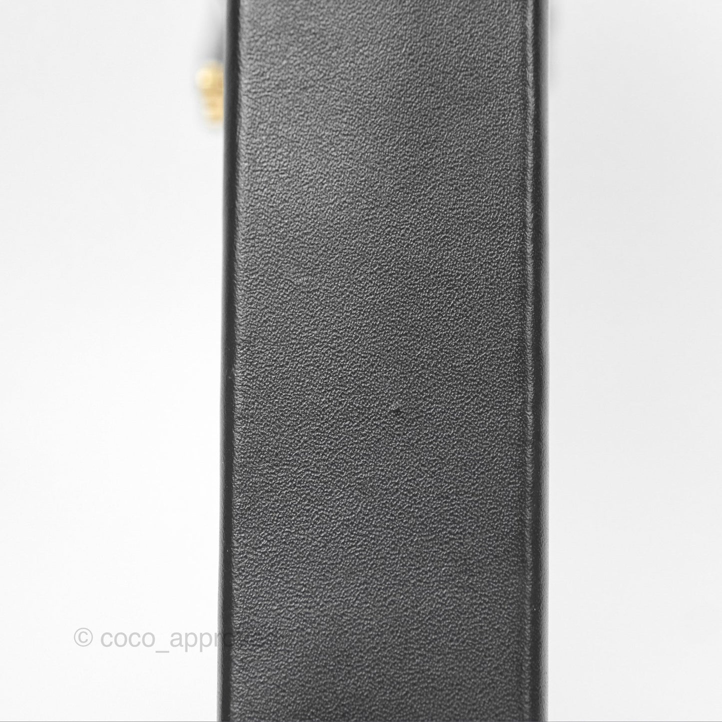 Louis Vuitton Monogram Vertical Trunk Pochette
