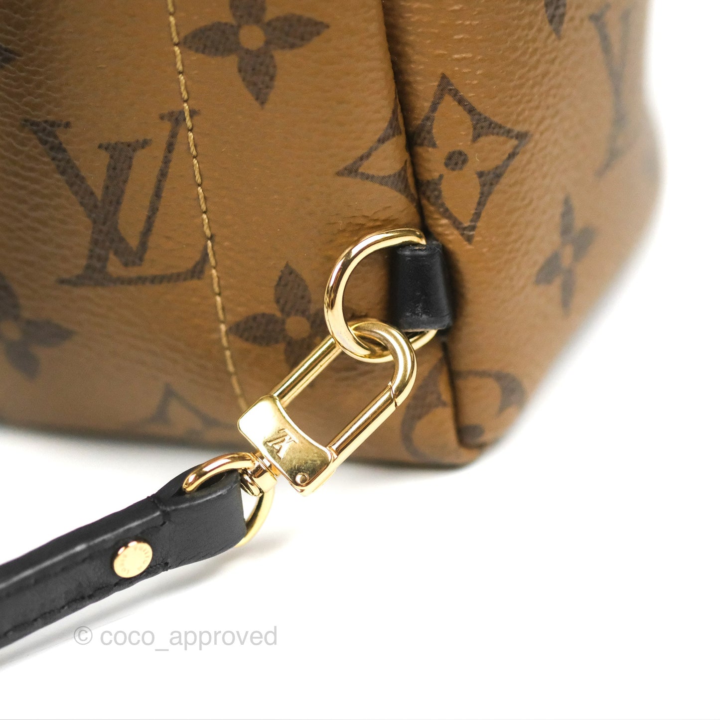 Louis Vuitton Reverse Mini Palm Springs Backpack⁣