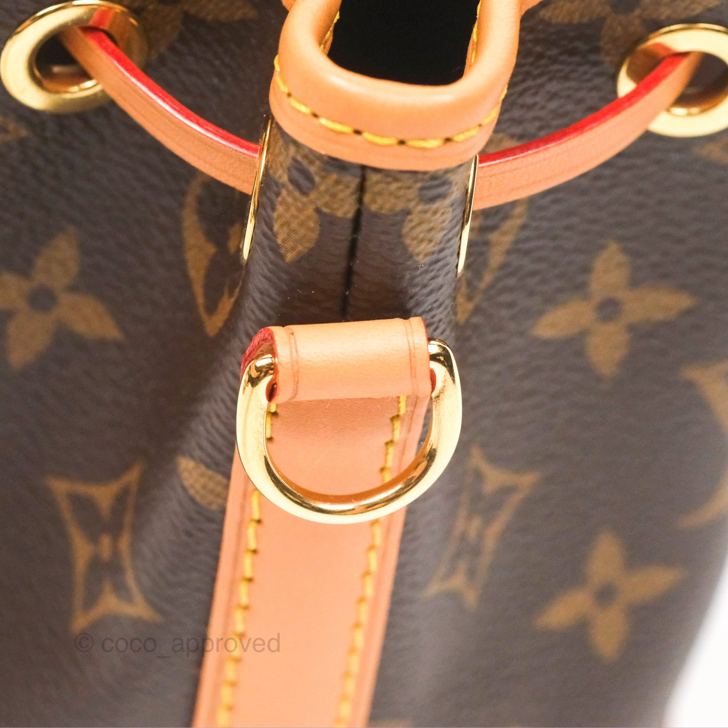 Louis Vuitton Nano Noe Monogram Canvas
