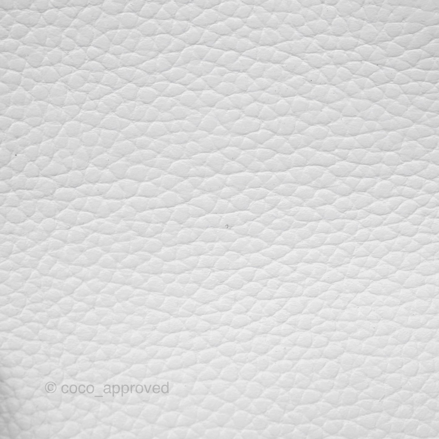 Chanel Mini Neo Executive Shopper Tote White Grained Calfskin Silver Hardware
