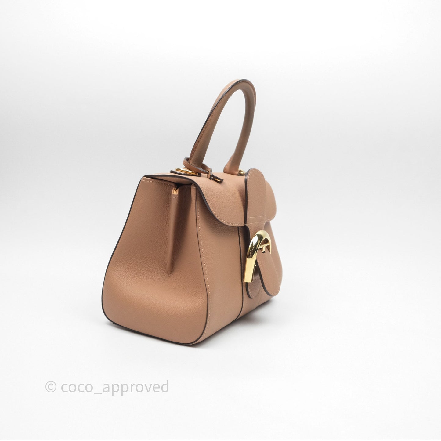 Delvaux Mini Brillant Bag Vison Grained Calfskin Gold Hardware with Twilly
