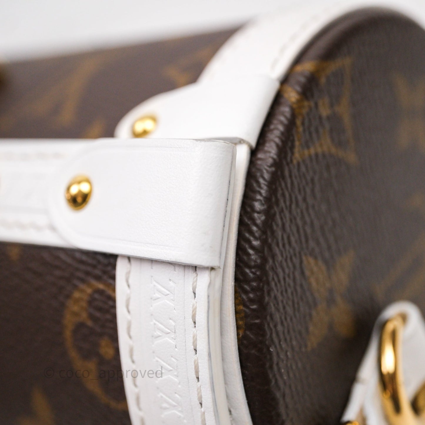 Louis Vuitton Monogram Papillon Trunk Bag