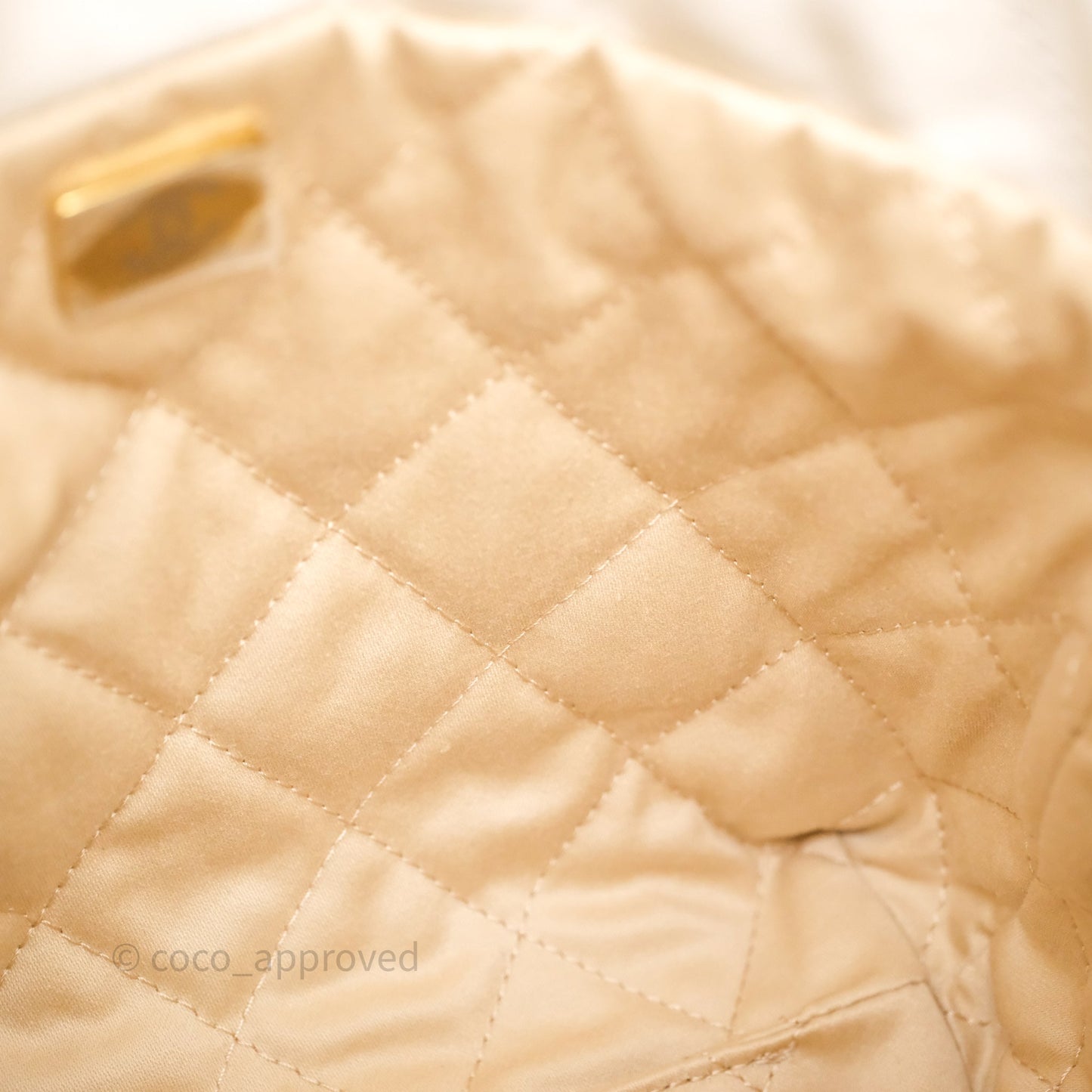 Chanel 22 Mini Bag White Calfskin Aged Gold Hardware