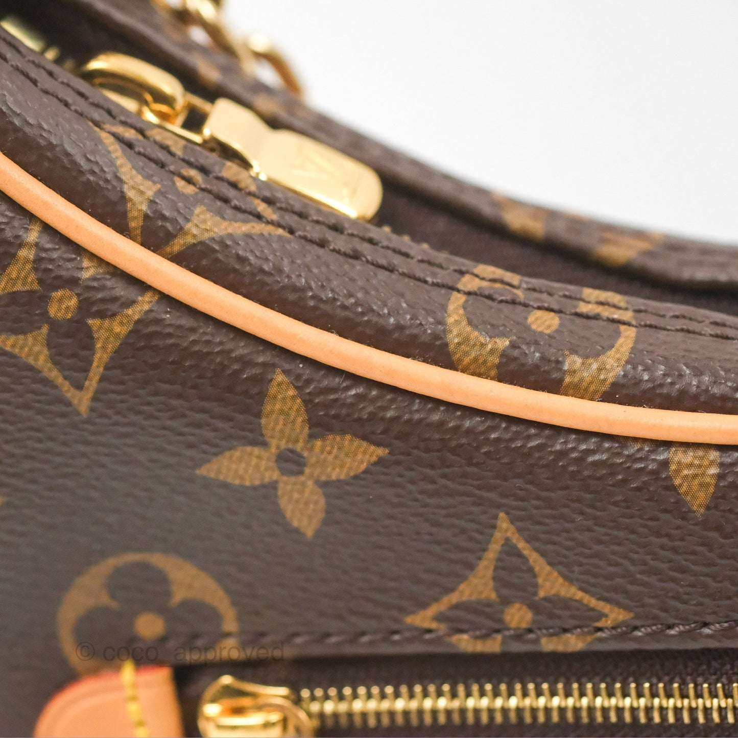 Louis Vuitton Loop Monogram Canvas