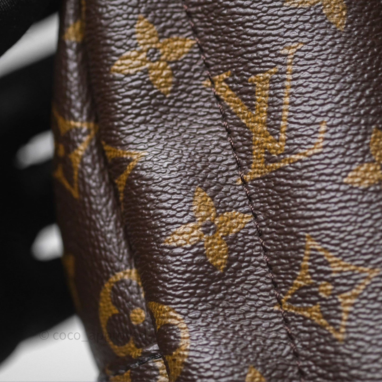Louis Vuitton Monogram Mini Palm Springs Backpack⁣