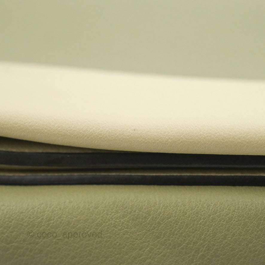 Celine Frame Bag Light Green