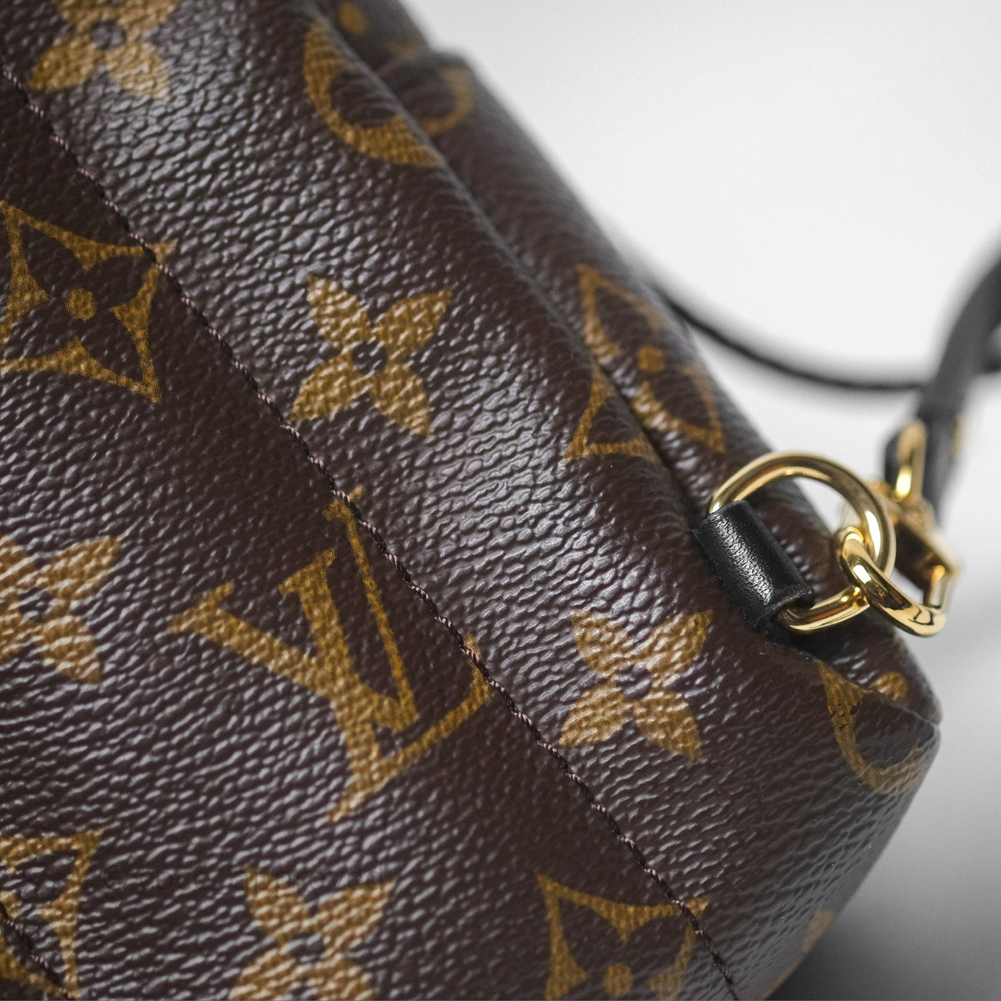 Louis Vuitton Monogram Mini Palm Springs Backpack⁣
