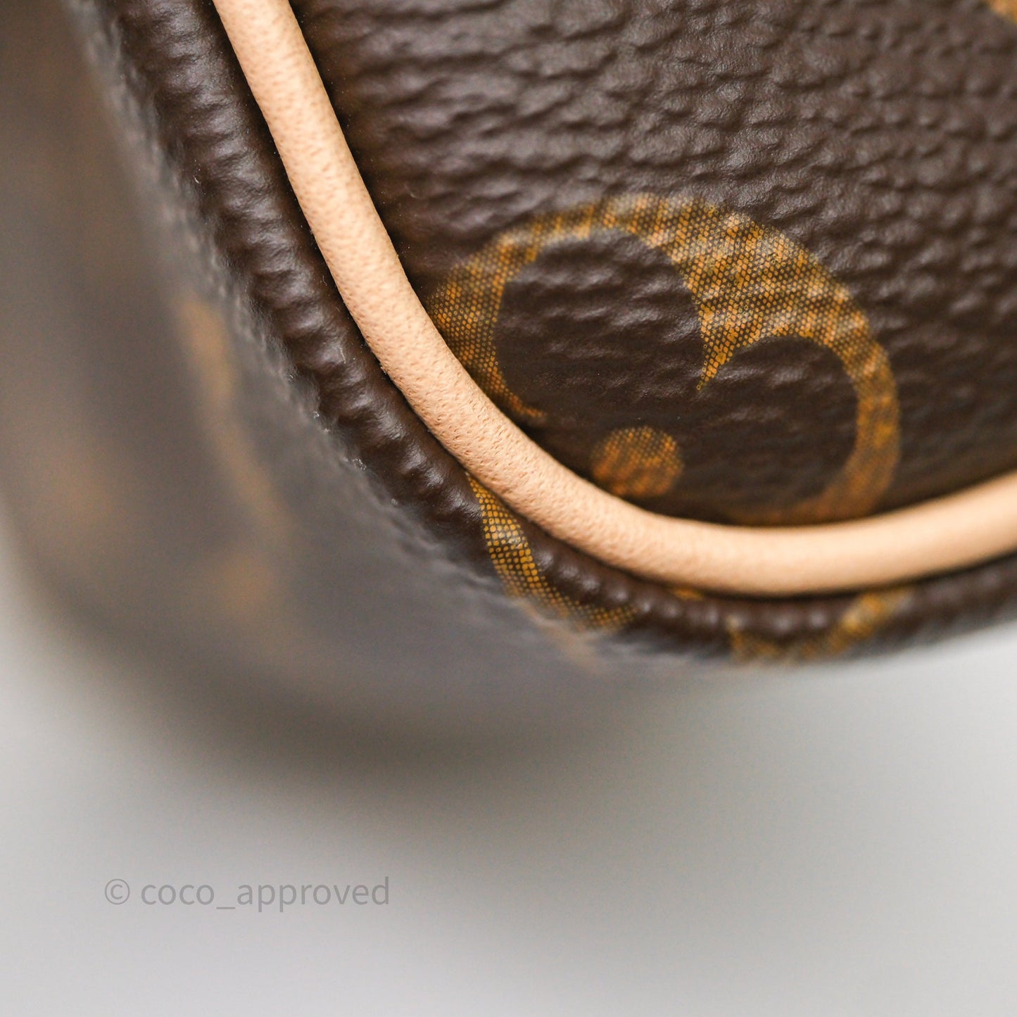 Louis Vuitton Nano Speedy Monogram Canvas