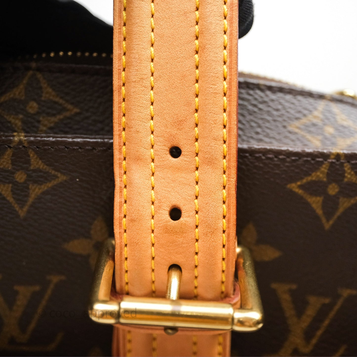Louis Vuitton Multipli-Cite Tote Monogram Canvas
