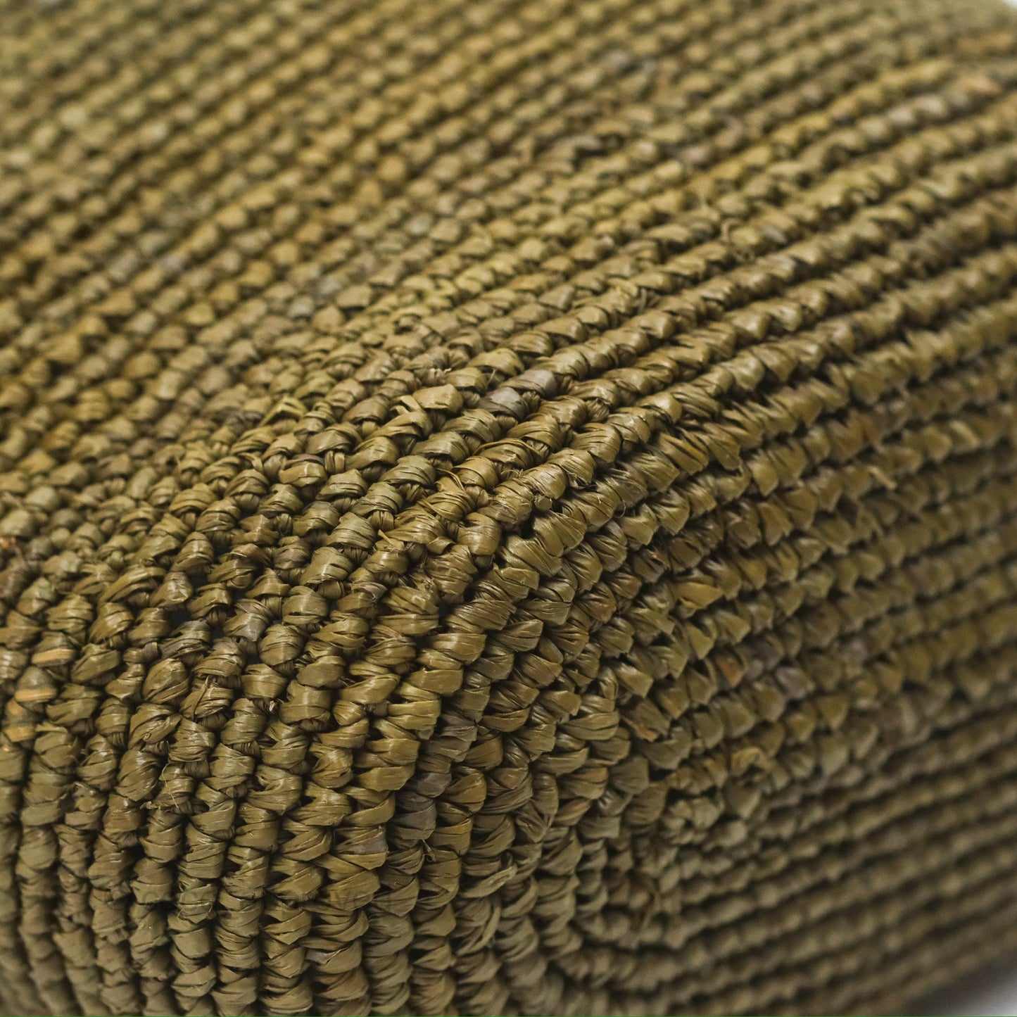 Loewe Mini Slit Bag in Raffia / Calfskin Natural Olive