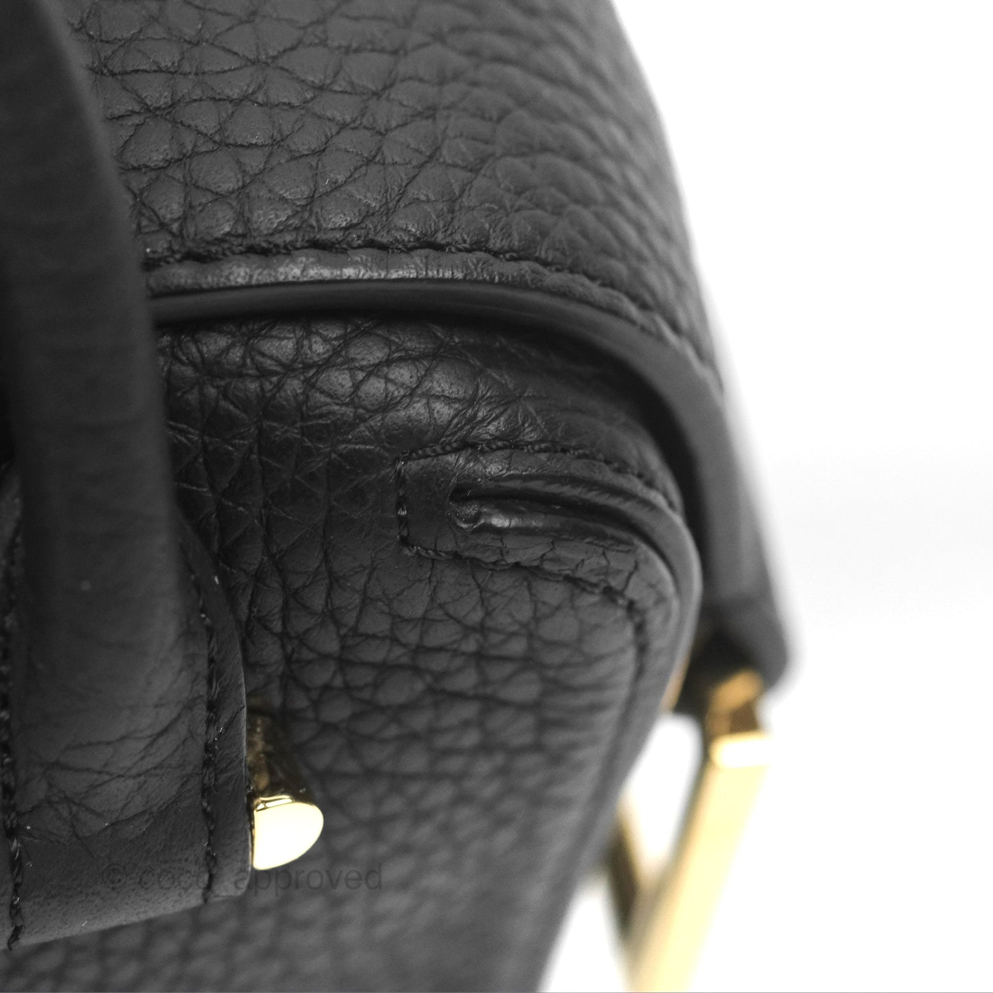 Delvaux Cool Box Nano Taurillon Soft Grained Calfskin Black Gold Hardware