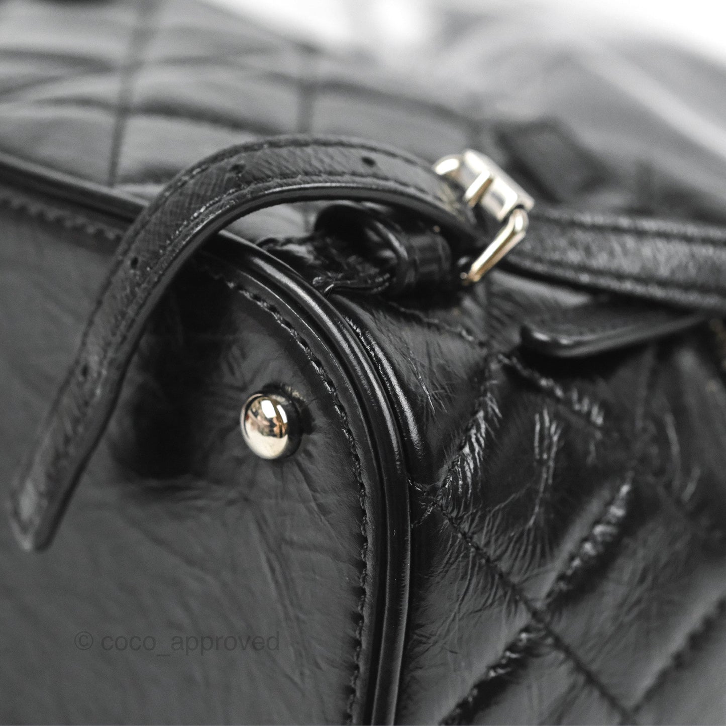Chanel Aquarium PVC Backpack Black Crumpled Calfskin Silver Hardware