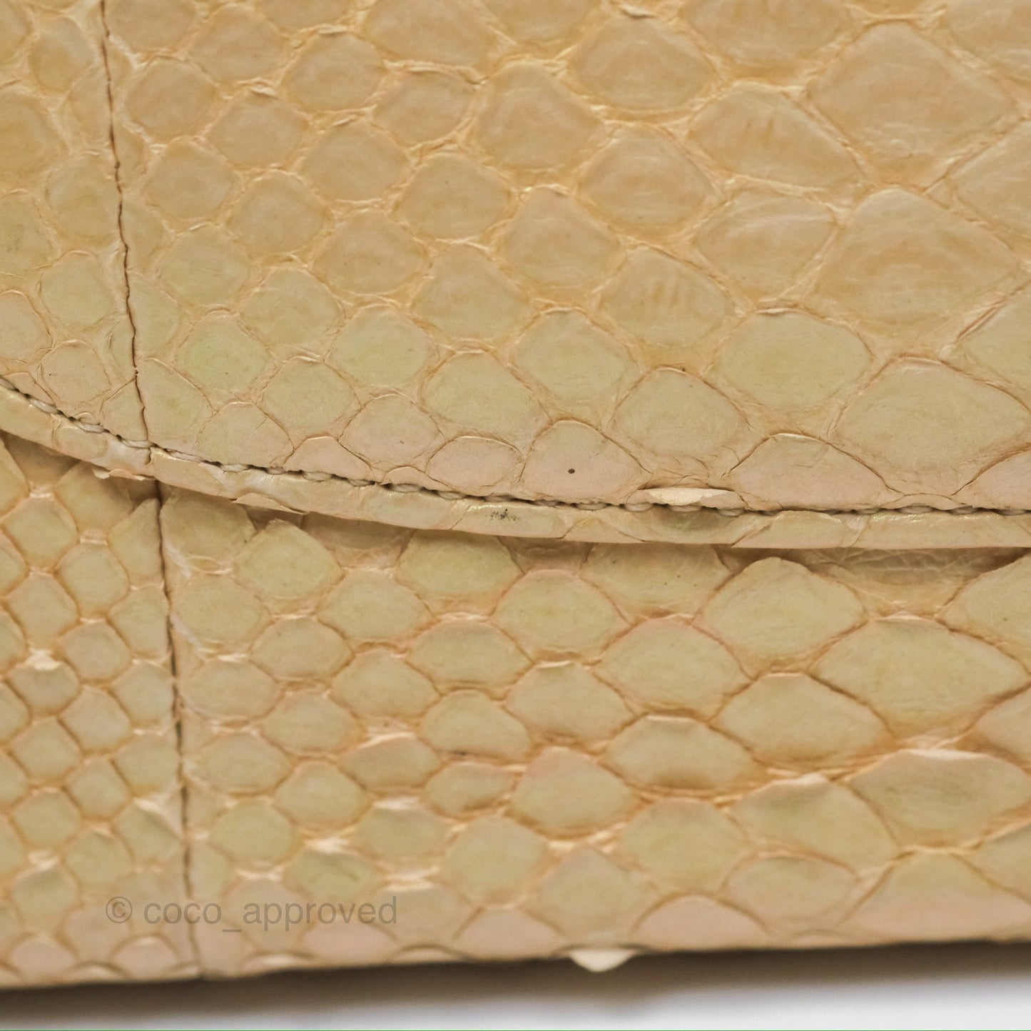 Chanel Jumbo Double Flap Iridescent Gold Python Gold Hardware⁣⁣