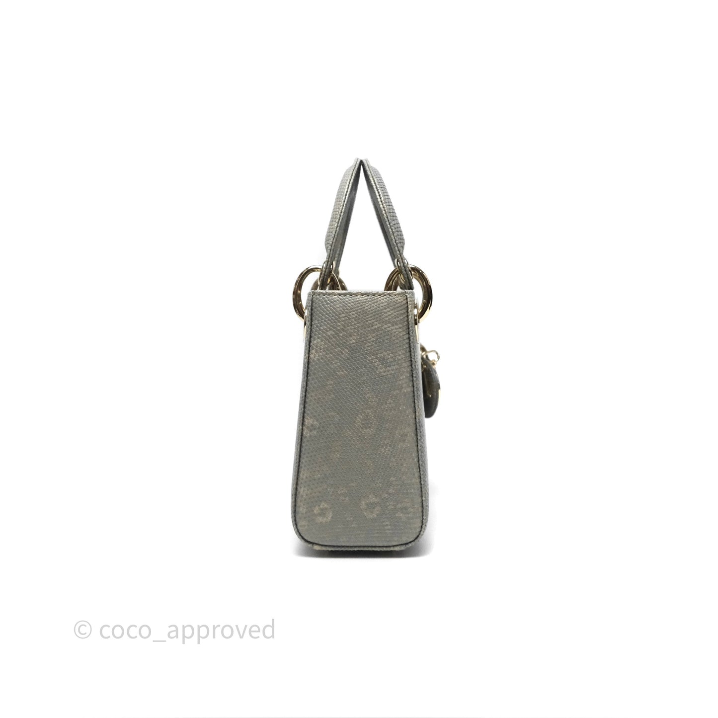 Dior Mini Lady Dior Ombre Grey White Lizard Gold Hardware