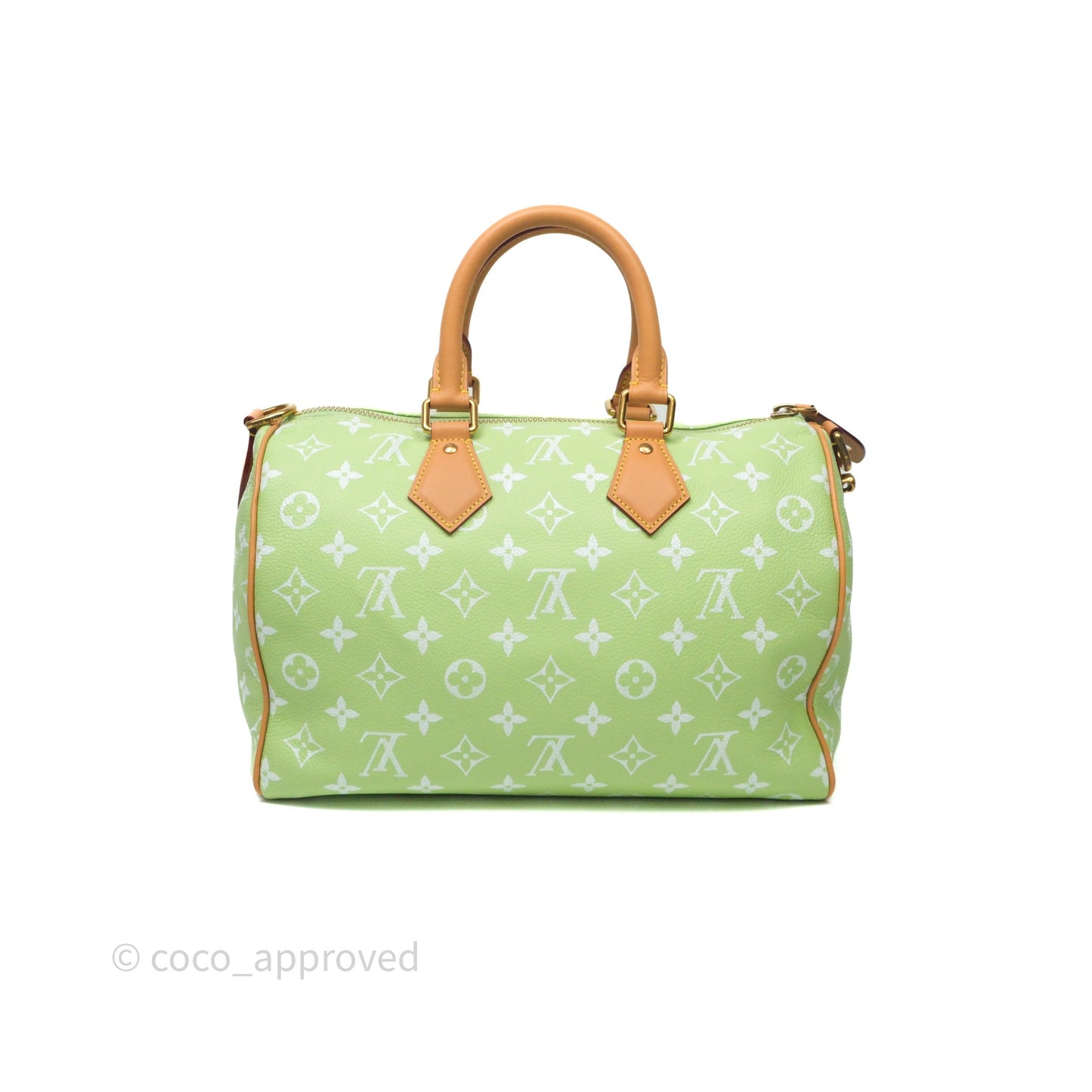 Louis Vuitton Speedy P9 Bandouliere 30 Vert Clair Bag