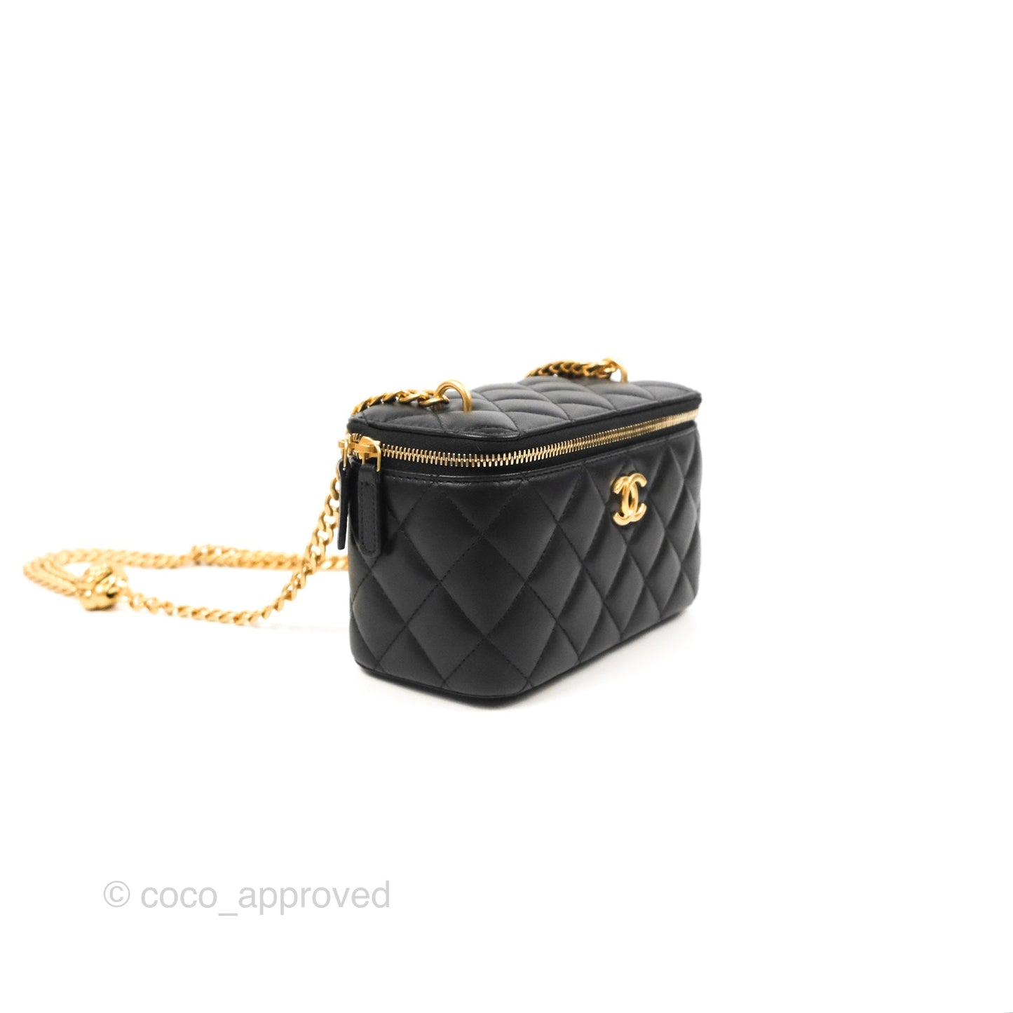 Chanel Quilted Vanity Rectangular with Camellia Adjustable Chain Black Lambskin 23S
