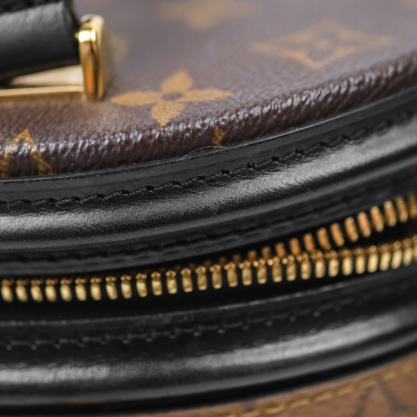Louis Vuitton Monogram Canvas Reverse Cannes Bag