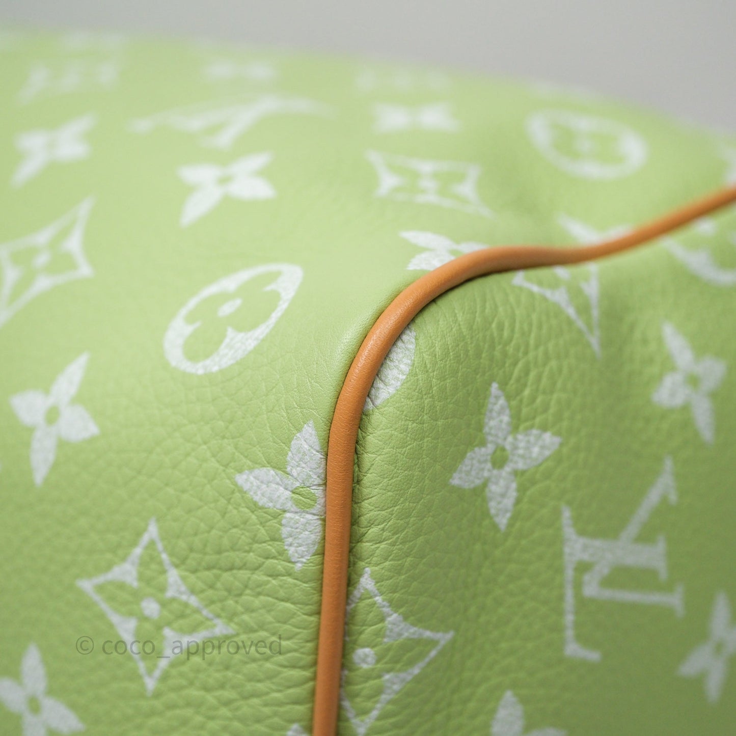 Louis Vuitton Speedy P9 Bandouliere 30 Vert Clair Bag