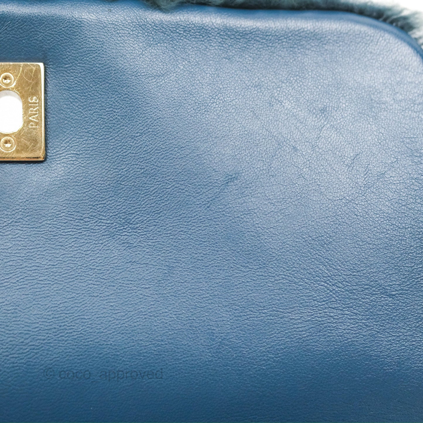 Chanel Top Handle Bag Green Blue Orylag Fur 17A