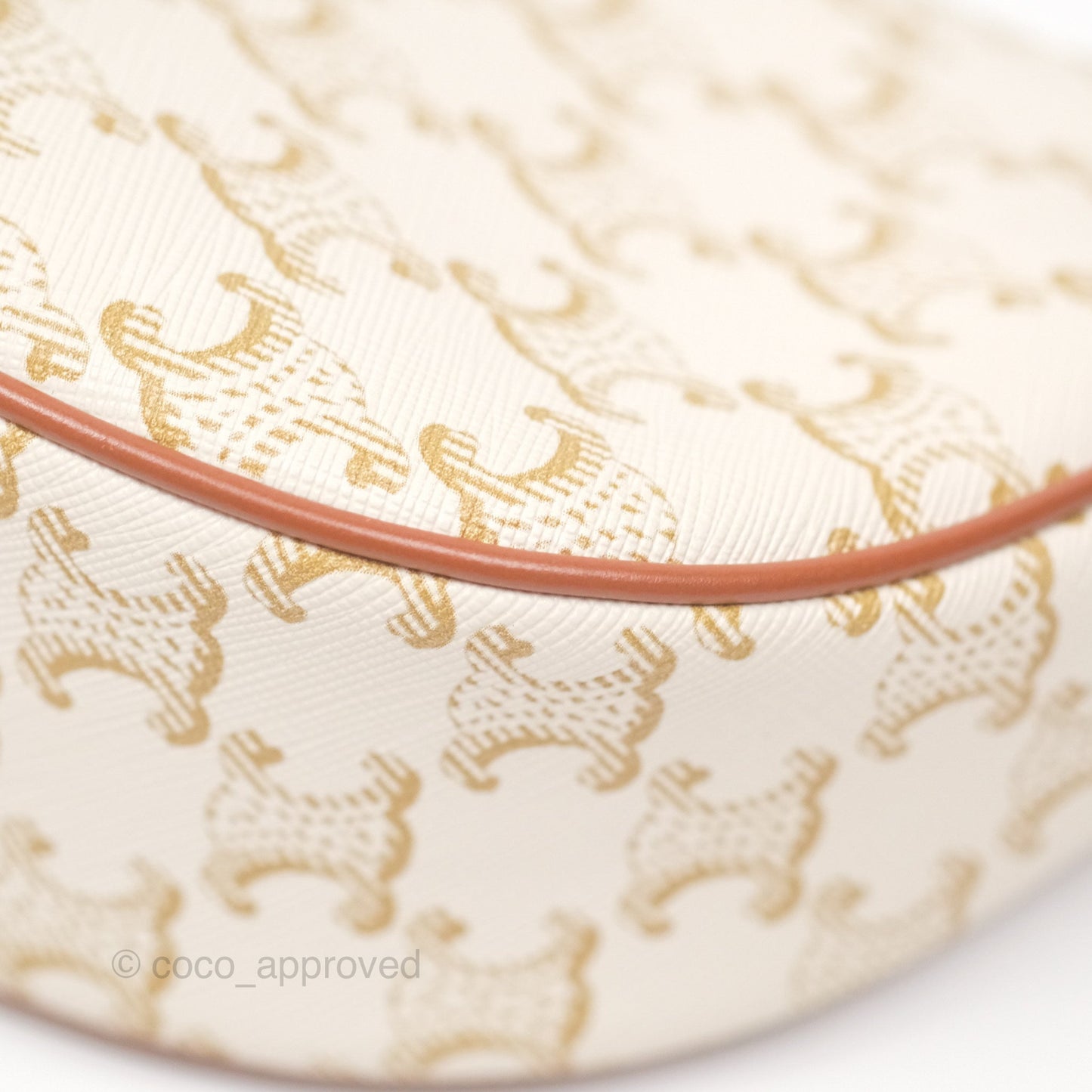 Celine Ava Bag In Triomphe Canvas Calfskin White