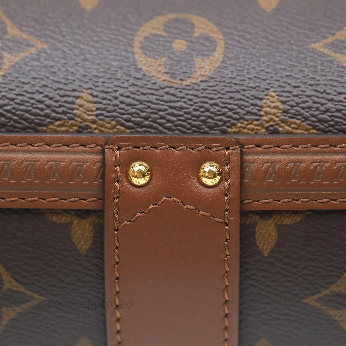 Louis Vuitton Papillon Trunk Monogram Coated Canvas