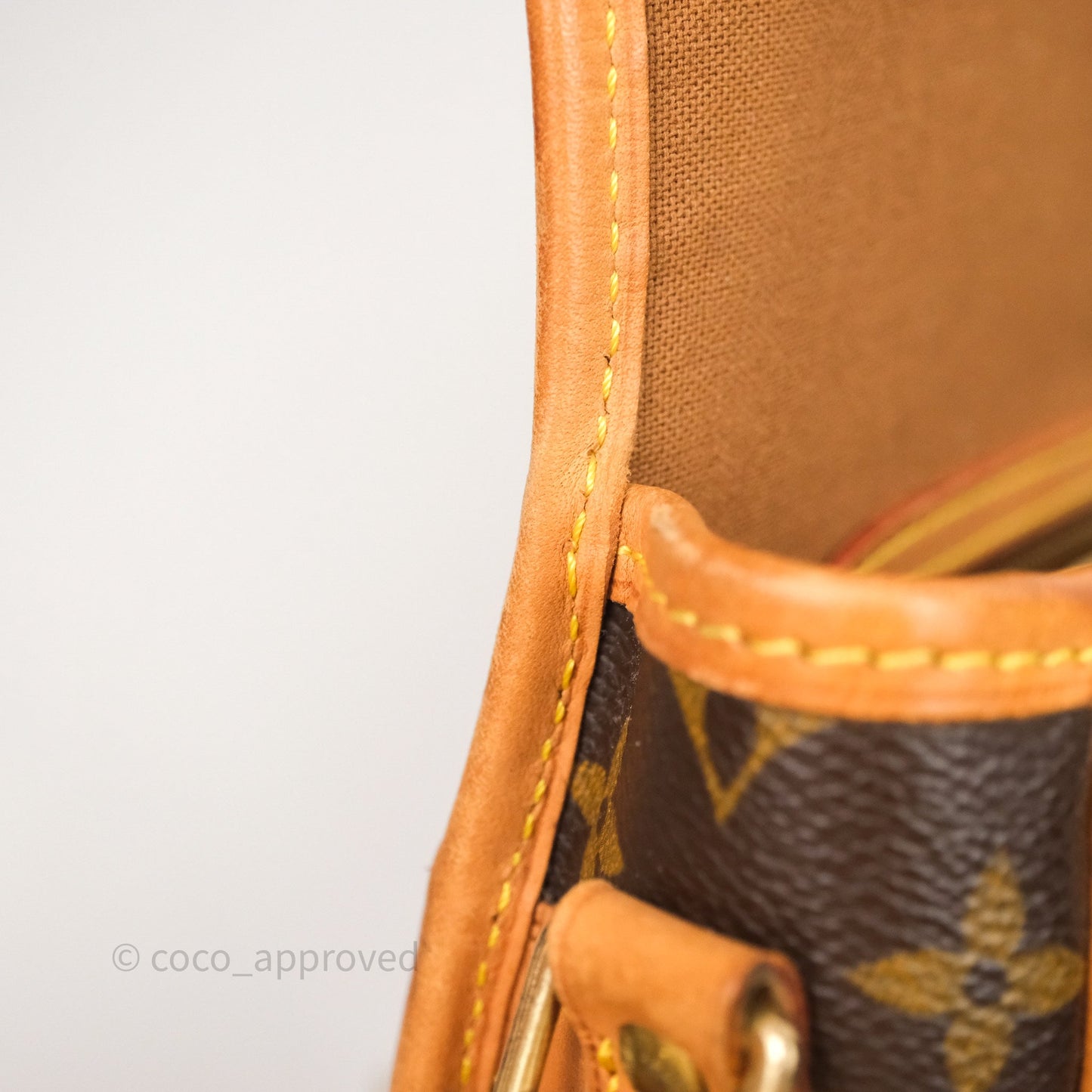 Louis Vuitton Vintage Diane Bag Monogram Canvas
