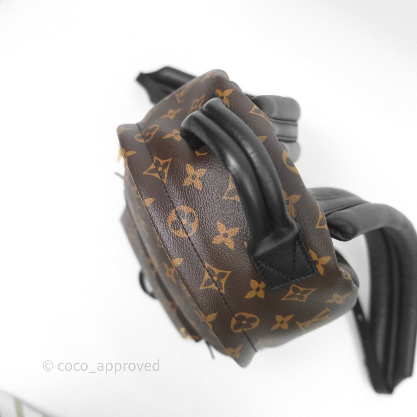 Louis Vuitton Palm Springs Backpack⁣ Monogram PM