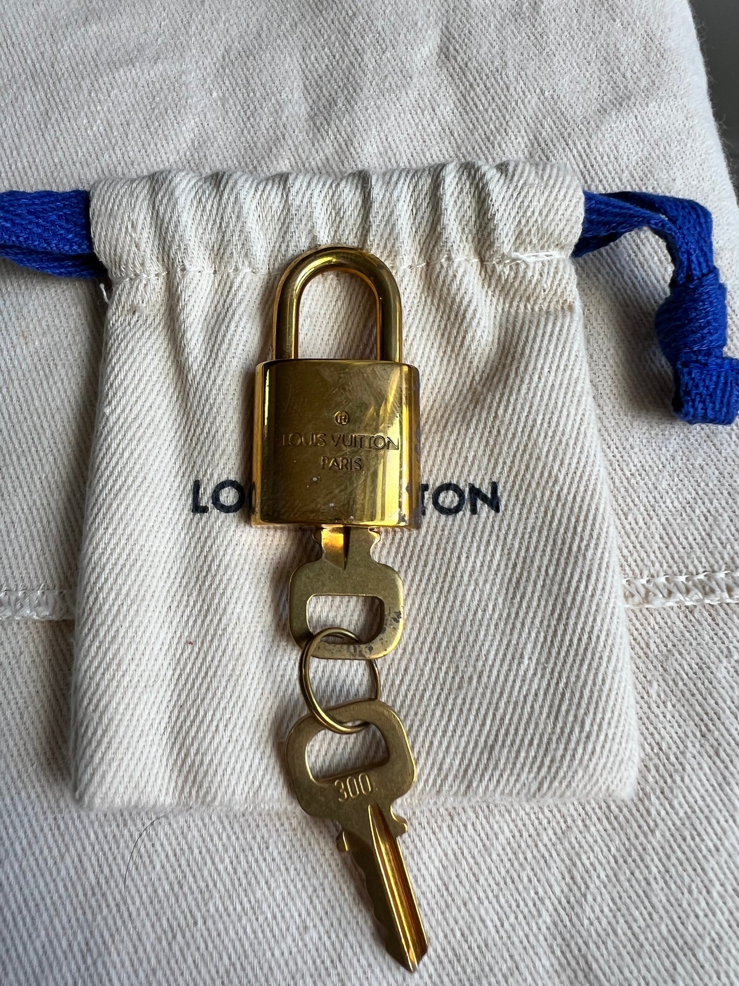 Louis Vuitton Speedy Bandouliere 30 Damier Ebene (strap missing)